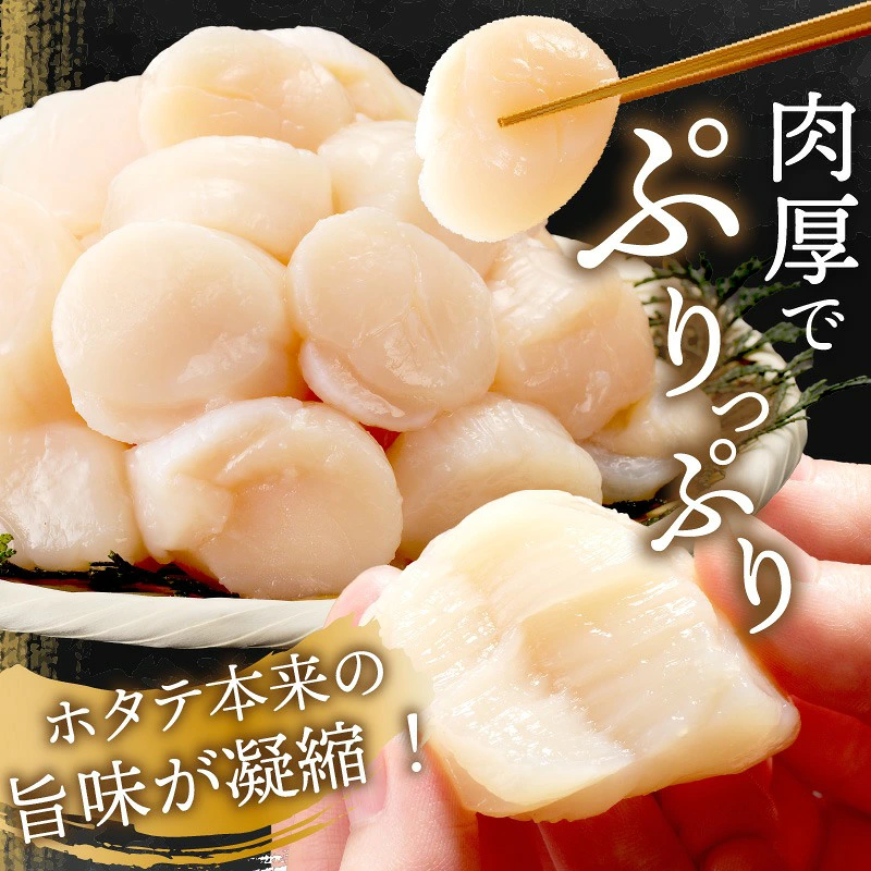 【予約:2026年10月から順次発送】北海道オホーツク海産 ホタテ貝柱 300g~1.2kg 生食用 ( 海鮮 魚介 魚介類 貝 ほたて 刺身 貝柱 海鮮丼 贈答 ギフト 小分け 帆立貝柱 人気 ふるさと納税 ホタテ )【239-0001】