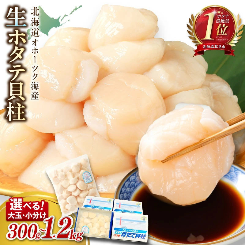 【予約:2026年10月から順次発送】北海道オホーツク海産 ホタテ貝柱 300g~1.2kg 生食用 ( 海鮮 魚介 魚介類 貝 ほたて 刺身 貝柱 海鮮丼 贈答 ギフト 小分け 帆立貝柱 人気 ふるさと納税 ホタテ )【239-0001】