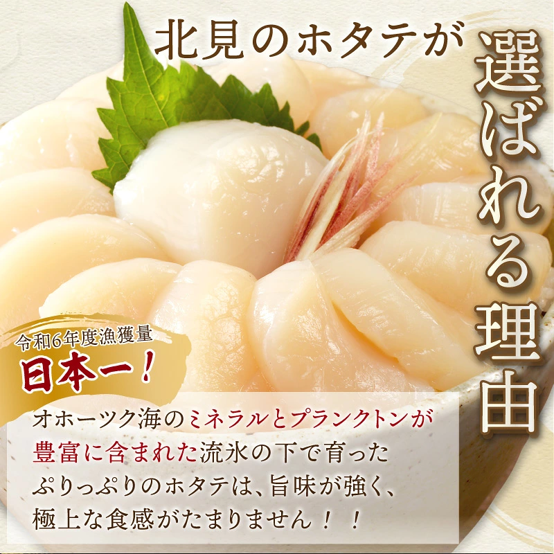 【予約:2026年10月から順次発送】北海道オホーツク海産 ホタテ貝柱 300g~1.2kg 生食用 ( 海鮮 魚介 魚介類 貝 ほたて 刺身 貝柱 海鮮丼 贈答 ギフト 小分け 帆立貝柱 人気 ふるさと納税 ホタテ )【239-0001】