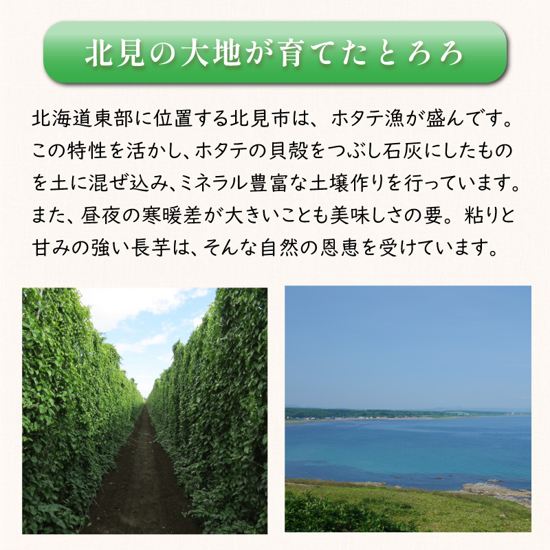 ところのとろろ 7個 4個 入り ( 長芋 長いも すりおろし 手作業 数量限定 国産 とろろ蕎麦 ご飯 常呂 )【121-0019】
