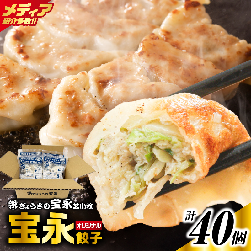 手包み餃子 ぎょうざの宝永 宝永餃子40個セット（宝永餃子10個入×4袋）　T004-003