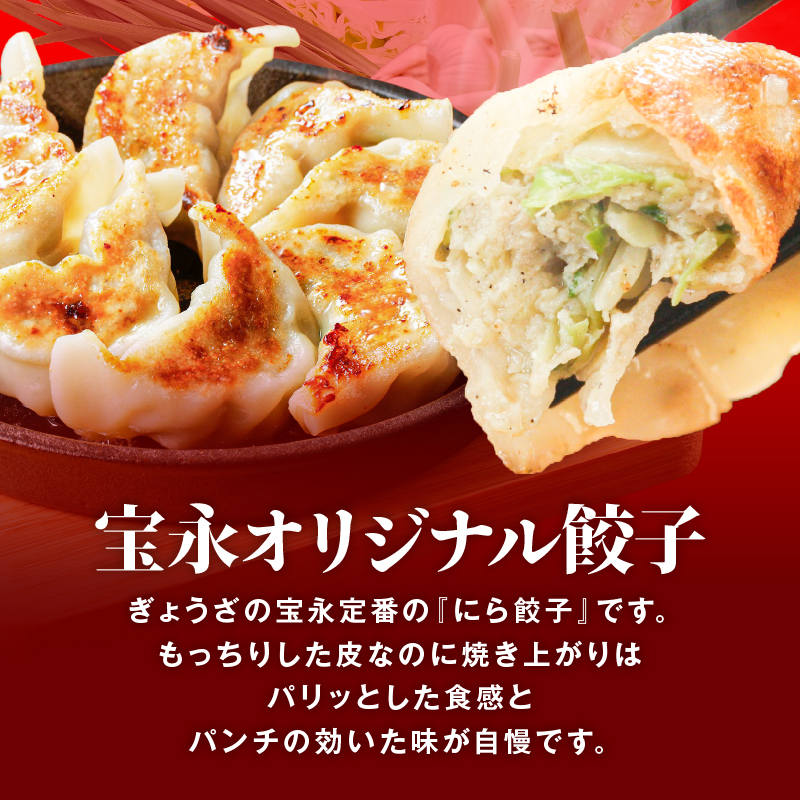 手包み餃子 ぎょうざの宝永 宝永餃子40個セット（宝永餃子10個入×4袋）　T004-003