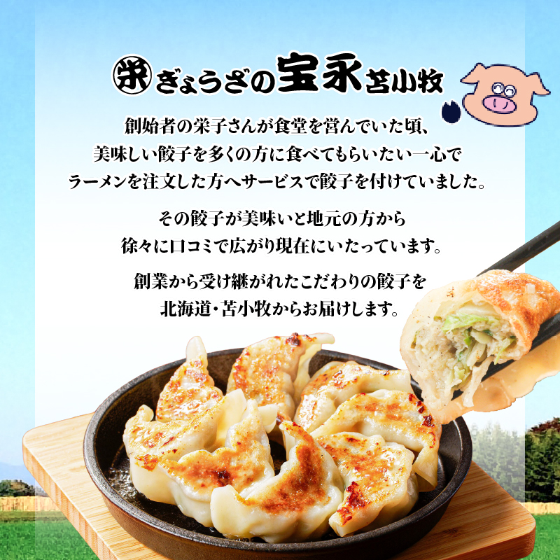 手包み餃子 ぎょうざの宝永 宝永餃子40個セット（宝永餃子10個入×4袋）　T004-003