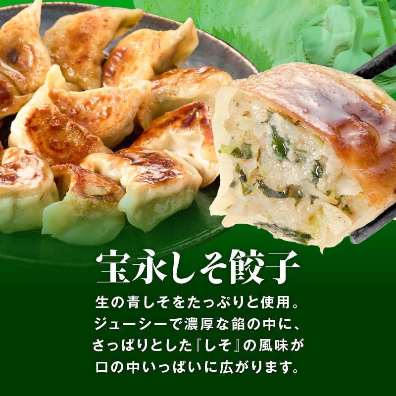 手包み餃子 ぎょうざの宝永 しそ餃子60個セット（宝永餃子15個入×2袋・しそ餃子15個入×2袋）　T004-004