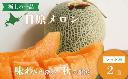 極上の一品「日原メロン(レッド種)」(1.7kg相当×2玉) E003