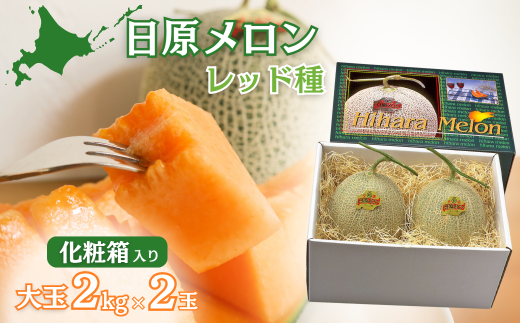 大玉「日原メロン(レッド種)」(2.0kg相当×2玉)カラー化粧箱入り F010