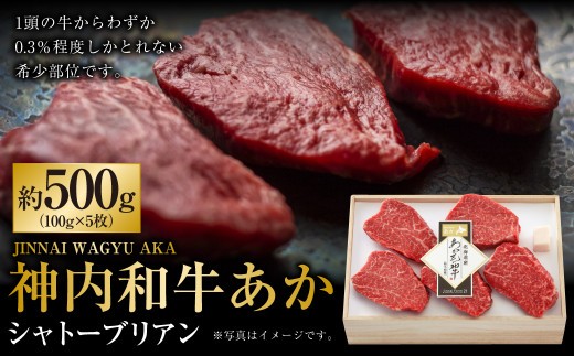 神内和牛あか シャトーブリアン 約500g 5枚入り ステーキ 希少部位 ヒレ フィレ ヘレ 和牛 肉 お肉 牛肉 赤身 旨味 国産 冷凍 贅沢 厚切 肉汁 お取り寄せ 北海道 浦臼町