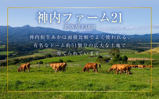神内和牛あか シャトーブリアン 約500g 5枚入り ステーキ 希少部位 ヒレ フィレ ヘレ 和牛 肉 お肉 牛肉 赤身 旨味 国産 冷凍 贅沢 厚切 肉汁 お取り寄せ 北海道 浦臼町