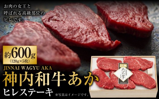 神内和牛あか ヒレステーキ 約600g 5枚入り肉 お肉 牛肉 ヒレ 希少部位 ヒレ肉 フィレ ヘレ ステーキ 高級部位 和牛 牛肉 赤身 厚切 柔らか ジューシー 冷凍 ご褒美 お取り寄せ 北海道