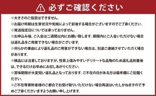 浦臼産 にんにく 約2kg  ニンニク 薬味 ガーリック 野菜 国産 北海道 浦臼町 【2026年9月上旬～2026年12月中旬発送予定】