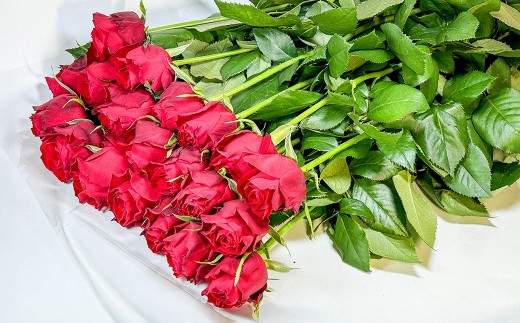 バラの花束 アマダ（赤）（20‐30本）| 花 バラ 薔薇 ローズ 生花 花束 ブーケ 赤 贈り物 プレゼント ギフト【2026年11月下旬頃迄発送予定】