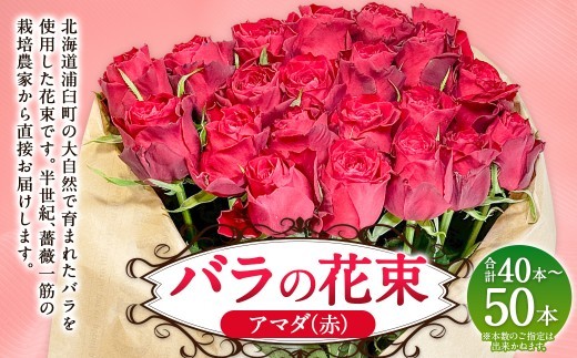 バラの花束 アマダ(赤)(40‐50本)| 花 バラ 薔薇 ローズ 生花 花束 ブーケ 赤 贈り物 プレゼント ギフト【2026年11月下旬頃迄発送予定】