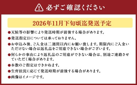 バラの花束 アマダ(赤)(40‐50本)| 花 バラ 薔薇 ローズ 生花 花束 ブーケ 赤 贈り物 プレゼント ギフト【2026年11月下旬頃迄発送予定】