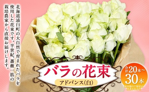 バラの花束 アドバンス（白）（20‐30本）| 花 バラ 薔薇 ローズ 生花 花束 ブーケ 白 贈り物 プレゼント ギフト【2026年11月下旬頃迄発送予定】