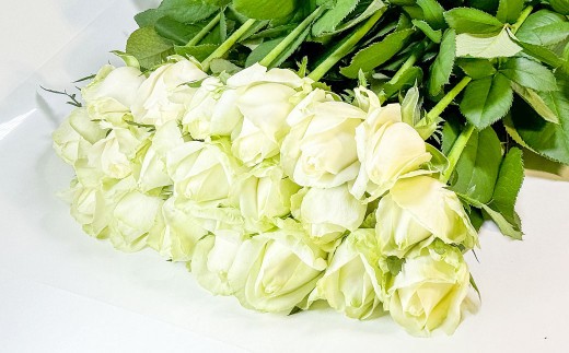 バラの花束 アドバンス（白）（20‐30本）| 花 バラ 薔薇 ローズ 生花 花束 ブーケ 白 贈り物 プレゼント ギフト【2026年11月下旬頃迄発送予定】