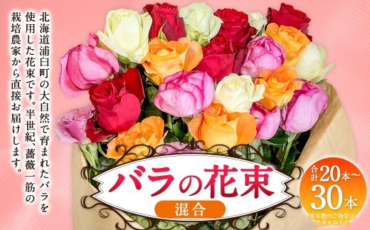 バラの花束 混合(20‐30本)| 花 バラ 薔薇 生花 ローズ 花束 ブーケ 贈り物 プレゼント ギフト【2026年11月下旬頃迄発送予定】