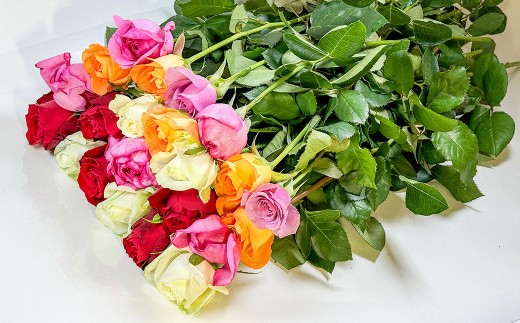 バラの花束 混合(20‐30本)| 花 バラ 薔薇 生花 ローズ 花束 ブーケ 贈り物 プレゼント ギフト【2026年11月下旬頃迄発送予定】