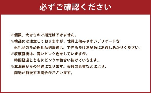 北海道産 在来種 ピンクにんにく 約1kg ニンニク ガーリック にんにく 大蒜 薬味 浦臼町 北海道【2026年9月上旬~12月上旬頃発送予定】