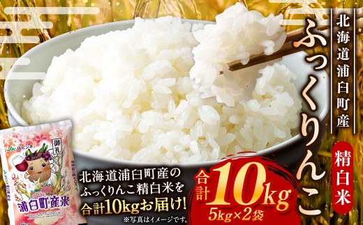 〈令和8年産〉浦臼産 ふっくりんこ 精白米 10kg （5kg×2袋） お米 米 ブランド米 北海道産 北海道 浦臼町 【2026年11月上旬より順次発送】