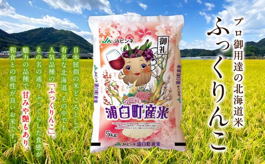 【2回定期便】<令和8年産>浦臼産ふっくりんこ 精白米 10kg(5kg×2袋) | 米 お米 こめ コメ ブランド米 白米 精米 ごはん ふっくりんこ 定期 定期便 北海道産 浦臼産 北海道 浦臼町
