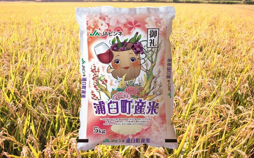 【6回定期便】＜令和8年産＞浦臼産ゆめぴりか 精白米 5kg×1袋 | 米 お米 こめ コメ ブランド米 白米 精米 ごはん ゆめぴりか 定期 定期便 北海道産 浦臼産 北海道 浦臼町 【2026年1