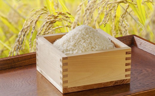 【3回定期便】＜令和8年産＞浦臼産 ゆめぴりか 精白米10kg（5kg×2袋） | 米 お米 こめ コメ ブランド米 白米 精米 ごはん ゆめぴりか 定期 定期便 北海道産 浦臼産 北海道 浦臼町 【