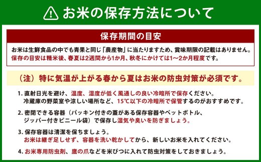 【3回定期便】＜令和8年産＞浦臼産 ゆめぴりか 精白米10kg（5kg×2袋） | 米 お米 こめ コメ ブランド米 白米 精米 ごはん ゆめぴりか 定期 定期便 北海道産 浦臼産 北海道 浦臼町 【