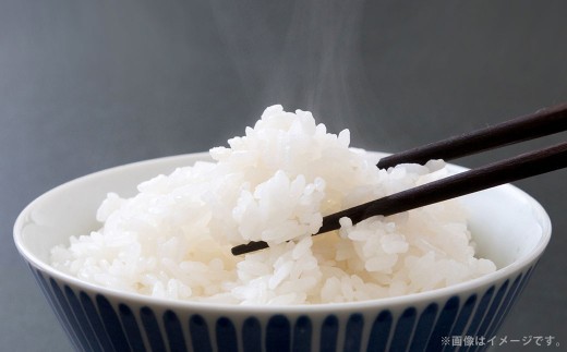 【12回定期便】<令和8年産>浦臼産 ゆめぴりか 精白米10kg(5kg×2袋) | 米 お米 こめ コメ ブランド米 白米 精米 ごはん ゆめぴりか 定期 定期便 北海道産 浦臼産 北海道 浦臼町
