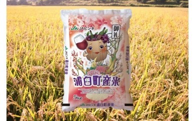 【6回定期便】 ＜令和8年産＞浦臼産 ゆめぴりか 精白米 10kg（5kg×2袋）米 お米 ブランド米 定期 北海道産 北海道 浦臼町 【2026年10月下旬より順次発送】