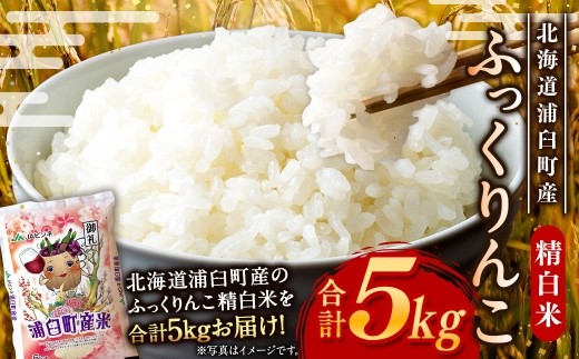 〈 令和8年産 〉浦臼産 ふっくりんこ 精白米 5kg お米 米 こめ コメ 白米 白飯 飯 ご飯 おにぎり ブランド米 ブランド 国産 北海道産 和食 魚料理 【 2026年11月上旬より順次発送