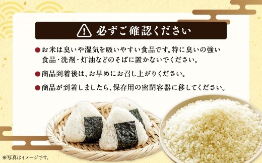 〈 令和8年産 〉浦臼産 ふっくりんこ 精白米 5kg お米 米 こめ コメ 白米 白飯 飯 ご飯 おにぎり ブランド米 ブランド 国産 北海道産 和食 魚料理 【 2026年11月上旬より順次発送