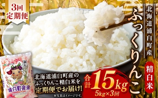 【 3回定期便 】〈 令和8年産 〉 浦臼産 ふっくりんこ 精白米 5kg お米 米 こめ コメ 白米 白飯 飯 ご飯 おにぎり ブランド米 ブランド 国産 北海道産 和食 魚料理 定期 定期配送 【