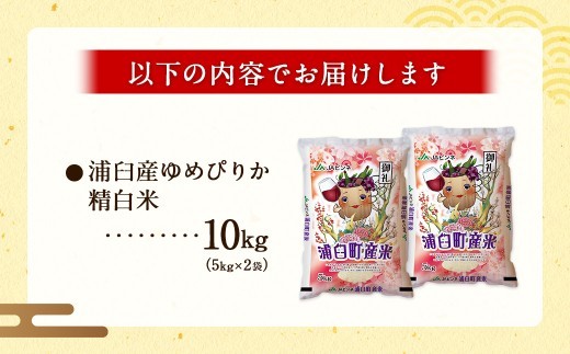 〈 令和8年産 〉 浦臼産 ゆめぴりか 精白米 10kg （ 5kg × 2袋 ） お米 米 こめ コメ 白米 白飯 飯 ご飯 おにぎり ブランド米 ブランド 国産 北海道産 和食 【 2026年10