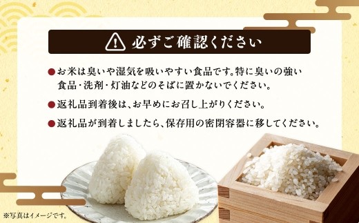 〈 令和8年産 〉 浦臼産 ゆめぴりか 精白米 10kg （ 5kg × 2袋 ） お米 米 こめ コメ 白米 白飯 飯 ご飯 おにぎり ブランド米 ブランド 国産 北海道産 和食 【 2026年10