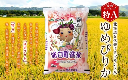 〈 令和8年産 〉 浦臼産 ゆめぴりか 精白米 10kg （ 5kg × 2袋 ） お米 米 こめ コメ 白米 白飯 飯 ご飯 おにぎり ブランド米 ブランド 国産 北海道産 和食 【 2026年10