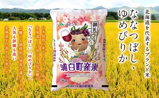 〈 令和8年産 〉 浦臼産 ななつぼし ゆめぴりか 精白米 各5kg （ 計10kg ） 食べ比べセット お米 米 こめ コメ 白米 白飯 飯 ご飯 おにぎり ブランド米 ブランド 国産 北海道産 和