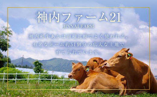 神内和牛あか 100%ビーフハンバーグ 20枚入り(2枚入り×10パック) 1枚あたり約140g 計約2.8kg 惣菜 ハンバーグ 100% 牛肉100% 冷凍 北海道 浦臼町