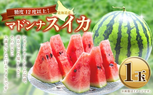 マドンナスイカ  1玉　（2～3Lサイズ） くだもの 果物 果実 フルーツ 西瓜 すいか スイカ 季節のフルーツ 旬のフルーツ 旬 甘い マドンナ 北海道 浦臼町 【2027年7月上旬～7月下旬発送予