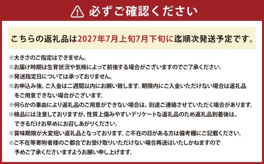 マドンナスイカ  1玉　（2～3Lサイズ） くだもの 果物 果実 フルーツ 西瓜 すいか スイカ 季節のフルーツ 旬のフルーツ 旬 甘い マドンナ 北海道 浦臼町 【2027年7月上旬～7月下旬発送予