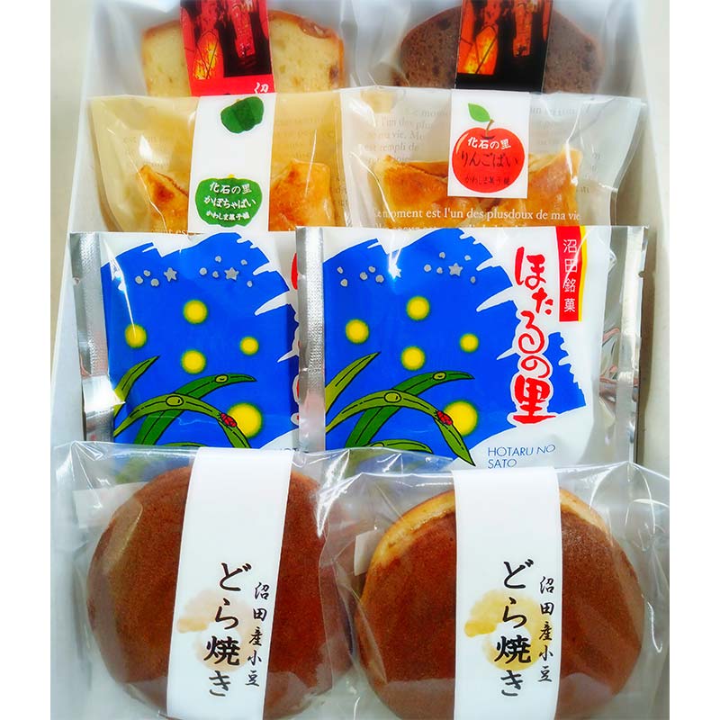 沼田銘菓 詰め合わせセット 8個入 どら焼き ほたるの里 かぼちゃぱい りんごぱい チョコレート フルーツ スイーツ お菓子 菓子 和菓子 洋菓子 ギフト 銘菓 贈答用  n-0185