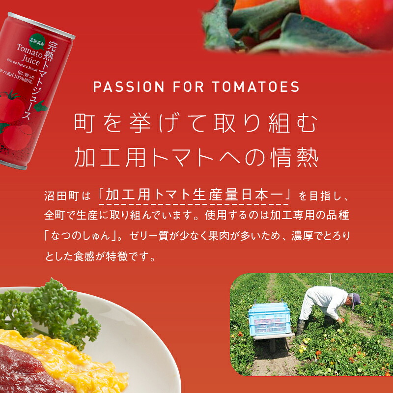 プレミアムトマトケチャップ 320g×2本 4本 3ヶ月 6ヶ月 北海道産 トマト 国産 無添加 濃厚 食べるケチャップ 高級調味料 調味料 加工品 お取り寄せ ギフト プレゼン n-0227var
