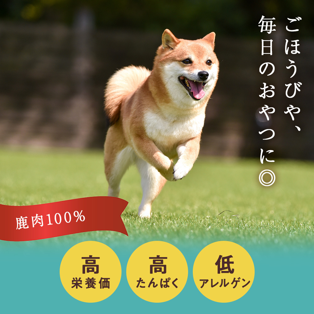 ジャーキー3種セット(サクサク・レバー・ハツ)各1袋