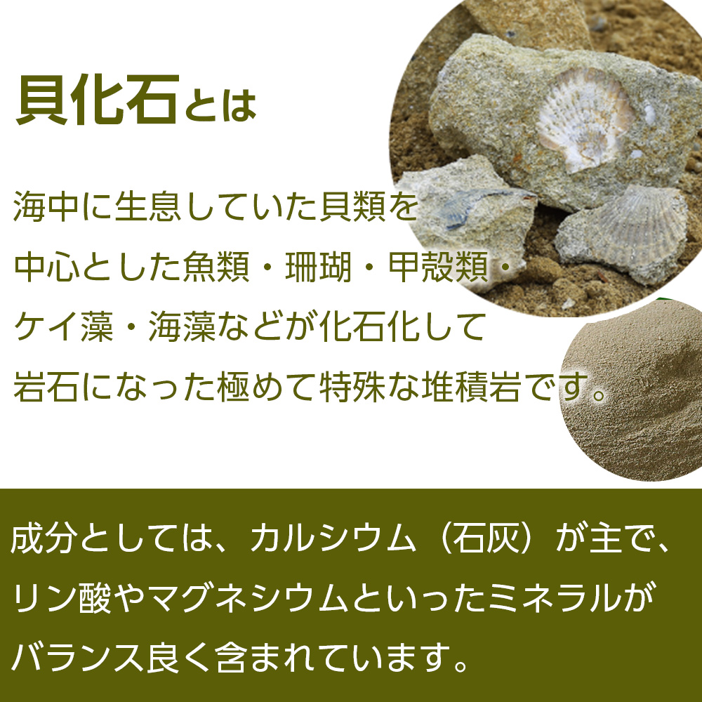 肥料 貝化石 20kg 1袋 土壌 改良 ミネラル 環境