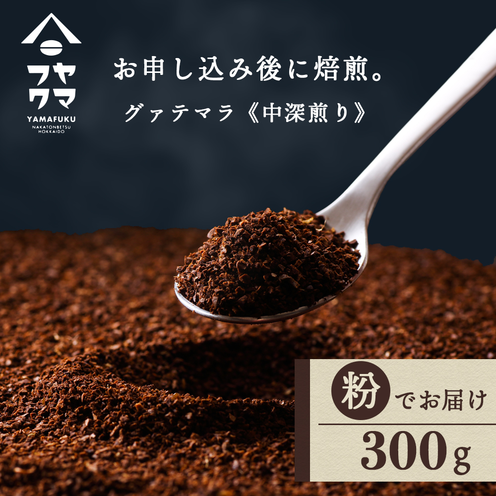 自家焙煎珈琲 グァテマラ　中深煎り（粉） 300g