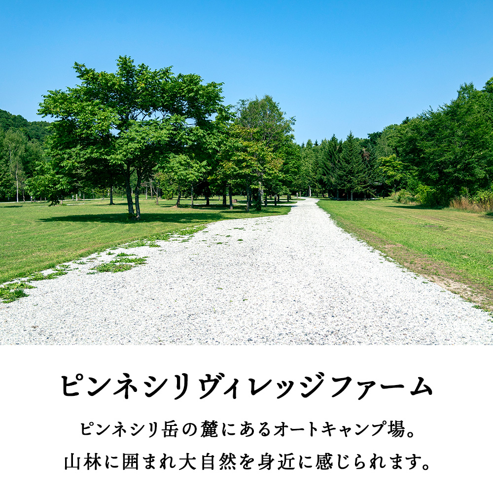 ピンネシリヴィレッジファームパーク　コテージ 定員４名　宿泊券1泊分