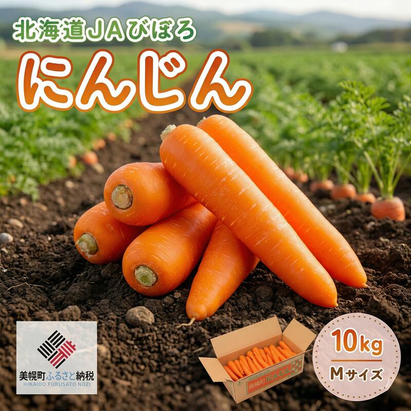 【2026年産 先行予約】 北海道 JAびほろ にんじん10kg【配送不可地域:離島】 2026年7月より順次発送 ふるさと納税 人気 おすすめ ランキング にんじん 人参 ニンジン 野菜 根菜 緑黄