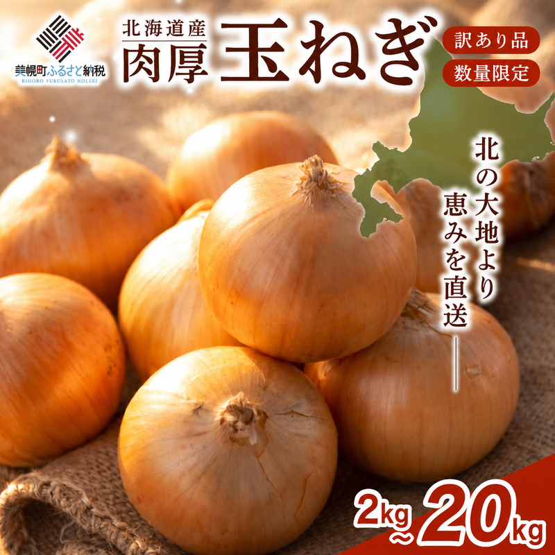 【先行予約】 美幌産 たまねぎ Lサイズ 2kg 5kg 10kg 20kg 令和8年度産 / タマネギ 玉ねぎ 玉ネギ 玉葱 オニオン スライス サラダ 野菜 スープ 肉じゃが