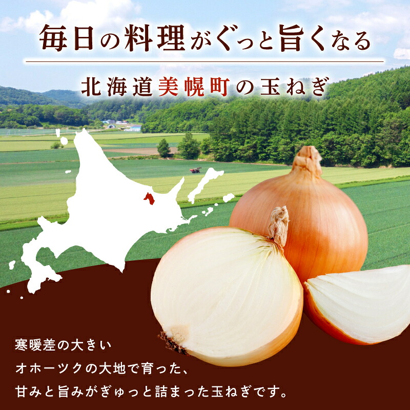 【先行予約】 美幌産 たまねぎ Lサイズ 2kg 5kg 10kg 20kg 令和8年度産 / タマネギ 玉ねぎ 玉ネギ 玉葱 オニオン スライス サラダ 野菜 スープ 肉じゃが