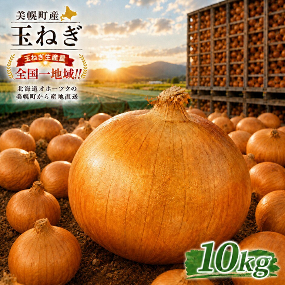 【2026年11月上旬以降発送】小島農場の玉ねぎ 美幌産たまねぎ 10kg～20kg 令和8年度産