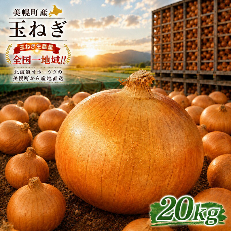 【2026年11月上旬以降発送】小島農場の玉ねぎ 美幌産たまねぎ 10kg～20kg 令和8年度産